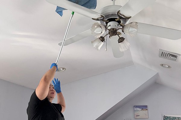 Image Veronica Cleaning Services