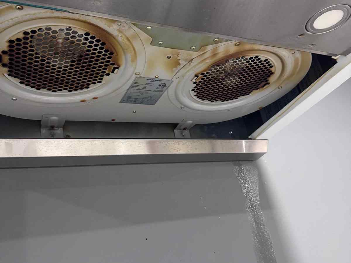 Veronica Cleaning Services